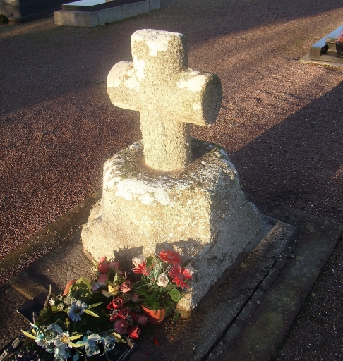 Croix monumentale (Trégon fusionnée en Beaussais-sur-Mer en 2017)