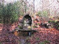 Fontaine de dévotion Saint-Conval, forêt du Cranou (Hanvec)