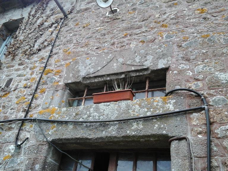 Manoir, le Champ Mauny (La Chapelle-Chaussée)