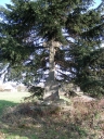 Croix de chemin, près de Vezin (Orgères)
