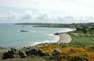 Obstructions et défenses de plages, Plage de Primel-Trégastel (Plougasnou)