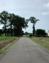 Voie ferrée (Saint-Cast-le-Guildo)