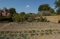 Ferme, la Basse Vallée (Vern-sur-Seiche)