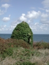 Guérite ; corps de garde de Raguénes (île de Bréhat)