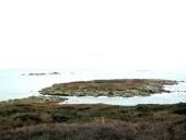 Espace insulaire : Île Jaouen et Île Tanguy (Pleumeur-Bodou)