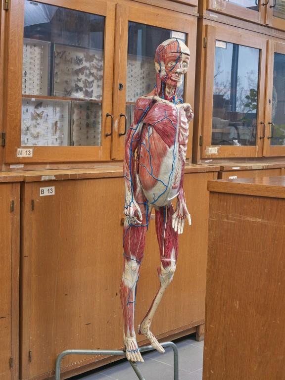 Collections pédagogiques de la Cité scolaire de l'Harteloire, 1 rue Bertrand Du Guesclin (Brest)