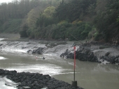 Bateaux de pêche à la civelle