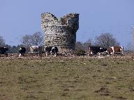 Ancien moulin à vent, dit le Moulin Rougé ou Moulin de Talhouët (Pluherlin)
