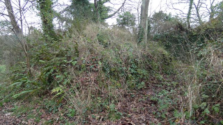 Motte de Boloy, Er Castel (Pleudaniel)