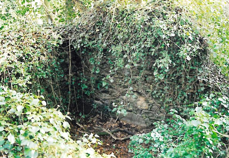 Kanndi de Kergestin (Tréflévénez)