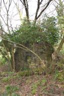 Kanndi de Run - Ty a Bars, proche Kerguélen (Dirinon)