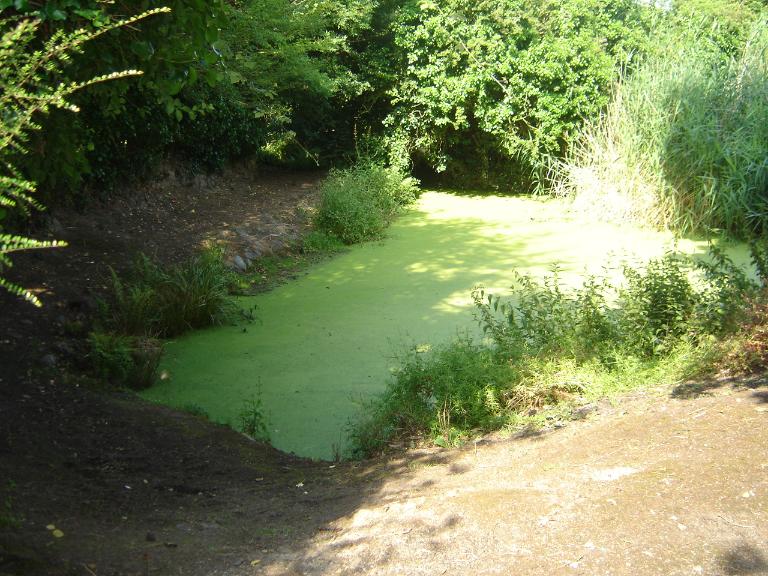 Routoir de Goasjoulin (Plouézec)