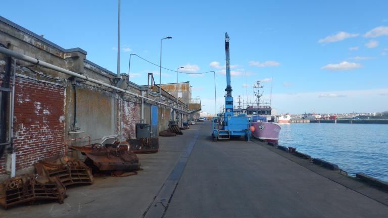 Criée du port de pêche (Lorient)