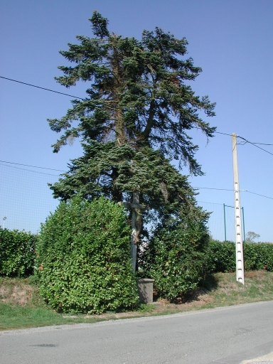 Croix de chemin, près de l'Auzenais (Pleumeleuc)