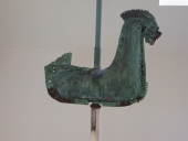 Coq