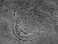 Plat de quête (1), chapelle Saint-Sébastien (Saint-Ségal)