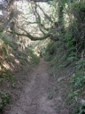 Chemin Moteux, la Vallée Denys (Erquy)