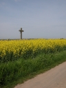 Croix de chemin, la Champagne du Moulin à Vent (Pleugueneuc)