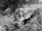 Allée couverte dite Parc Kerdic, Coldabry (Saint-Connan)