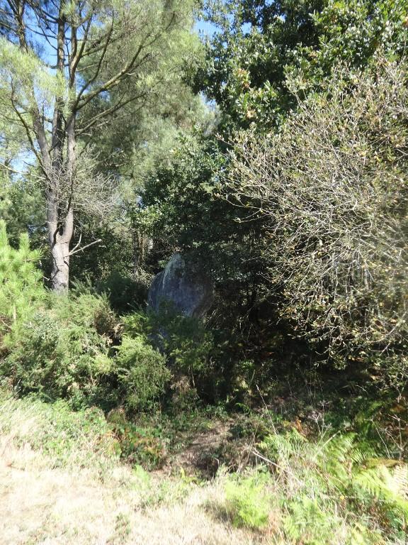 Menhir, près de Coënnely (Saint-Guyomard)