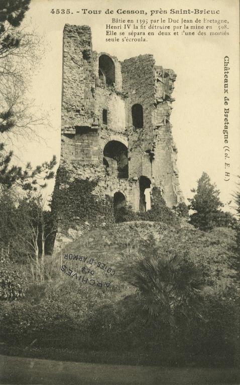 Château fort et tour de Cesson, Domaine de la Tour de Cesson, rue de la Tour (Saint-Brieuc)