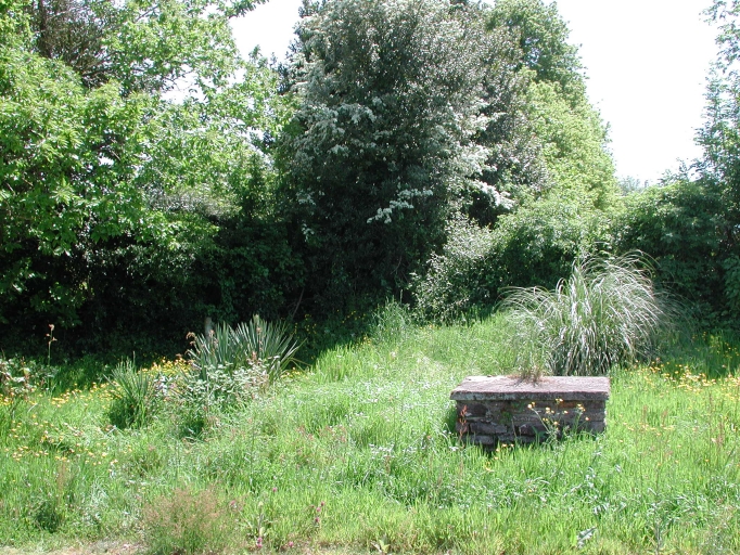 Croix de chemin, le Pertuis Néanti (Paimpont)