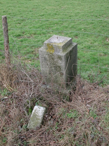 Croix de chemin, la Chataignerie (Etrelles)