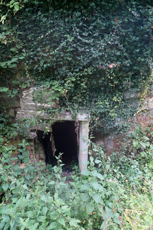 Château de La Chèze (La Chéze)