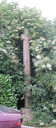 Croix de chemin, boulevard Pierre Barbot (Noyal-sur-Vilaine)