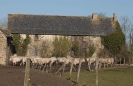 Manoir, le Grand Mainbier (Torcé)