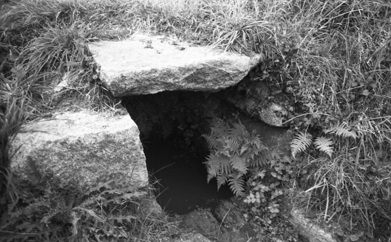 Fontaine de dévotion Saint Hervé (Tréflaouénan)