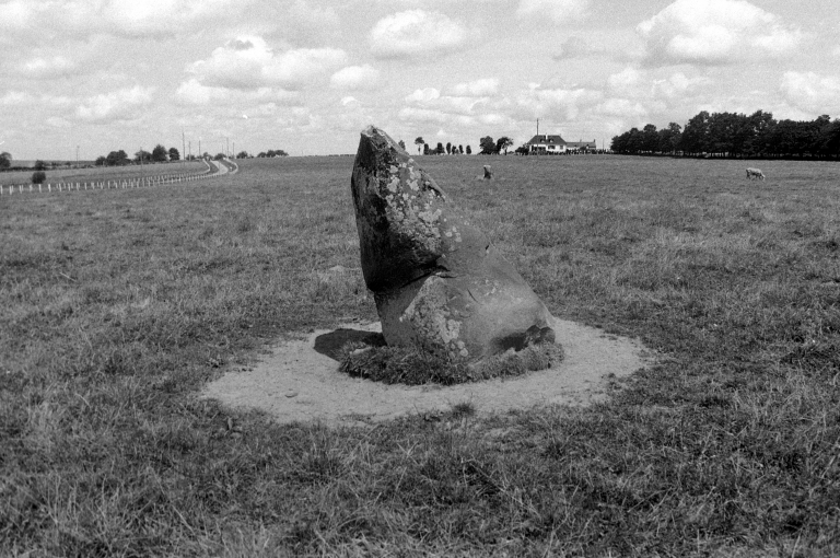 Alignement de menhirs de Bringuerault, Clos-Alaire, les Bredouillères (Bazouges-sous-Hédé)