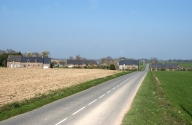 Écart, la Haute Haie (Plélan-le-Grand)