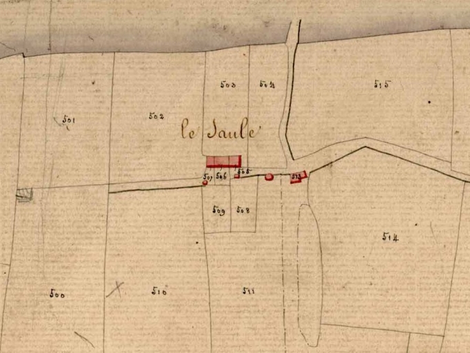 Écart, le Saule (Ercé-près-Liffré)