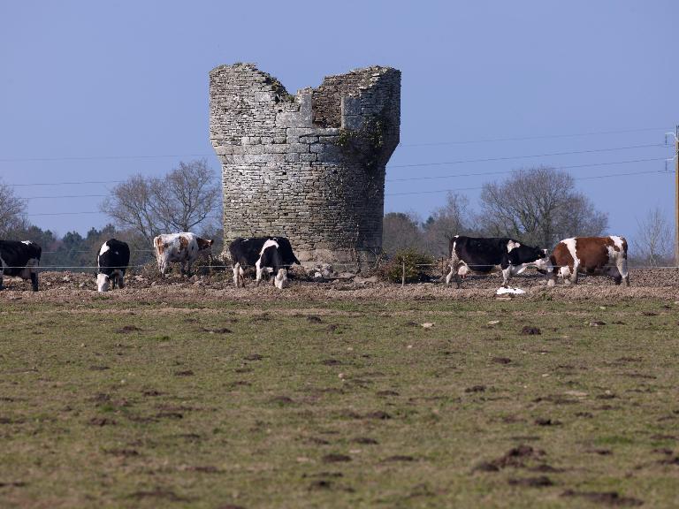 Ancien moulin à vent, dit le Moulin Rougé ou Moulin de Talhouët (Pluherlin)