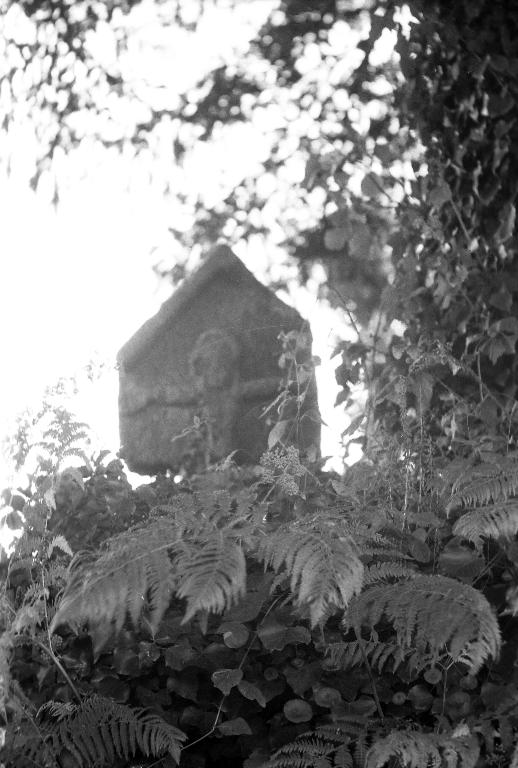 Croix de chemin, près de Trémaudu (Ploërmel)