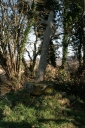 Croix de chemin, Goasquintin (Berrien)