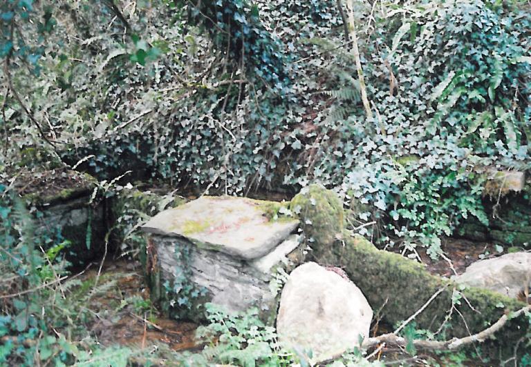 Kanndi du Crec Bras (Irvillac)