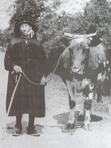 Présentation de la commune de Planguenoual (fusionnée en Lamballe-Armor en 2019)