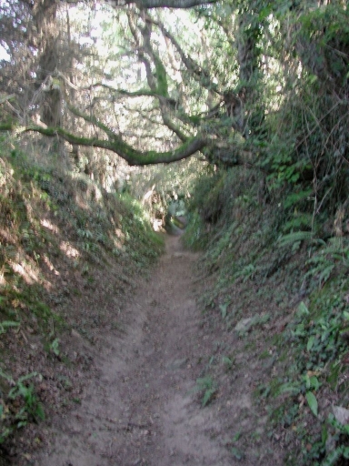 Chemin Moteux, la Vallée Denys (Erquy)