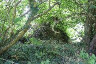 Kanndi de Guenfrout (Plouvorn)