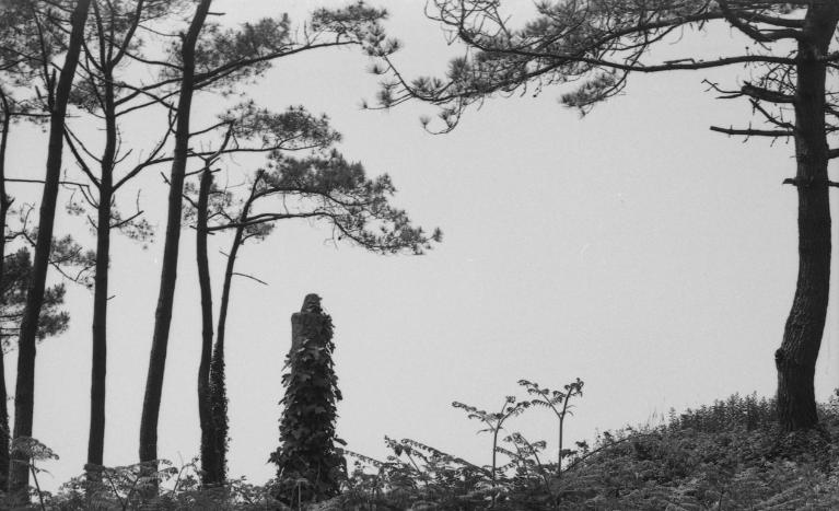 Croix monumentale, Keryéré (Tréogat)