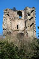 Château fort et tour de Cesson, Domaine de la Tour de Cesson, rue de la Tour (Saint-Brieuc)