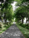 Route dite voie rabine de Coat Erbeau, Voie communale n° 5 (Yffiniac)