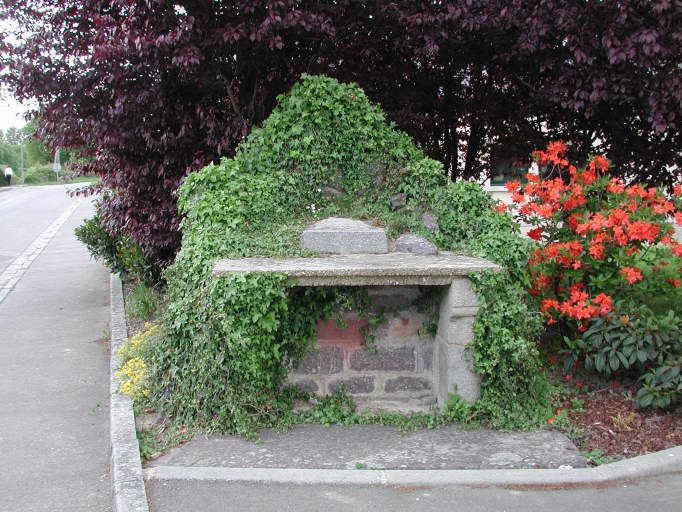 vignette