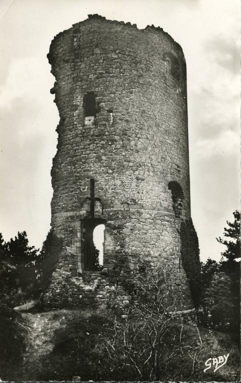 Château fort et tour de Cesson, Domaine de la Tour de Cesson, rue de la Tour (Saint-Brieuc)