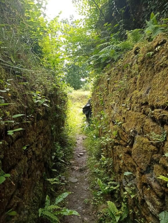 Château de La Chèze (La Chéze)
