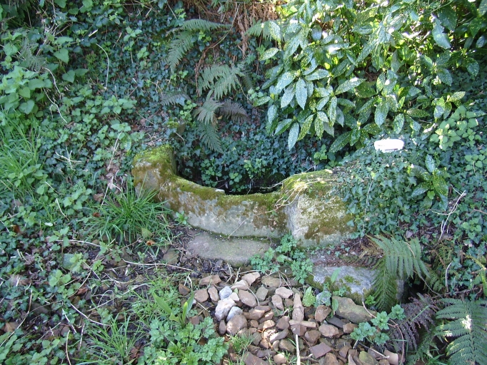 Fontaine, l'Etang (Pordic)