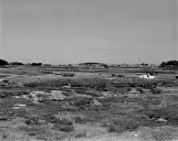 Ecart de l'Ile-Grande (Pleumeur-Bodou)