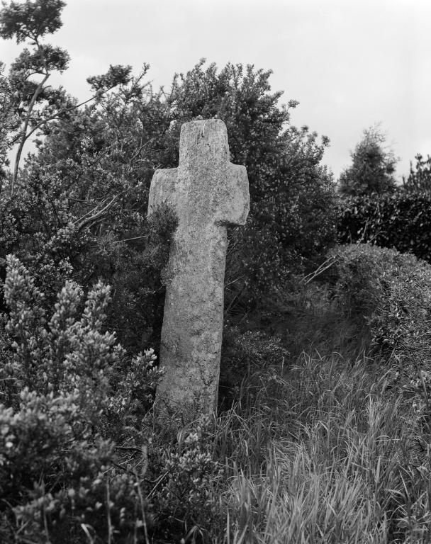 Croix de chemin, Salarün (Theix fusionnée en Theix-Noyalo en 2016)